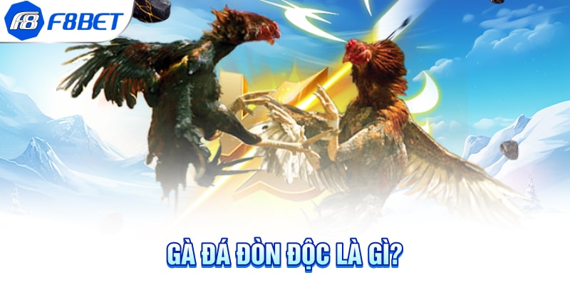 Gà đá đòn độc là gì?